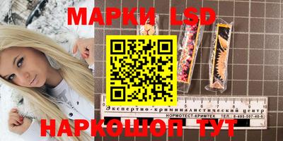 прущие крисы Моздок
