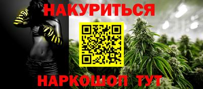 прущие крисы Моздок