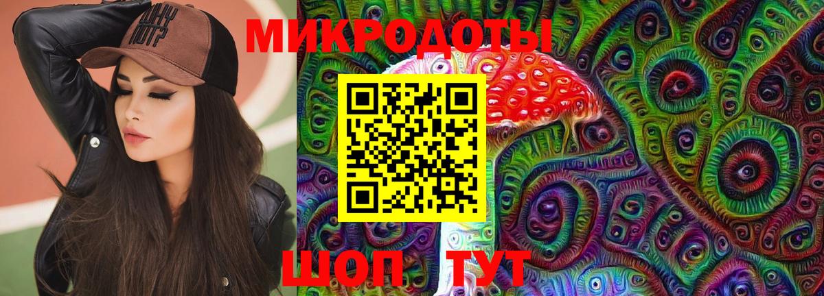 Псилоцибиновые грибы мицелий  Вход с VPN  Галлюциногенные грибы мухоморы  где купить наркоту  Хасавюрт 
