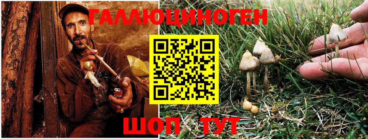 Галлюциногенные грибы MAGIC MUSHROOMS Хасавюрт