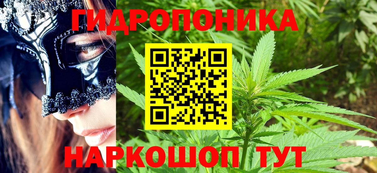 Канабис гибрид Хасавюрт
